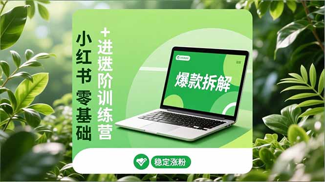 小红书零基础+高阶训练营：安全养号、爆款拆解、长效运营，实现稳定涨粉与变现-灵感工坊云网创