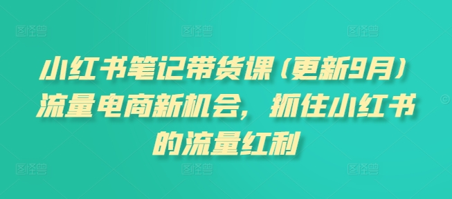 小红书笔记带货课(更新25年12月)流量电商新机会，抓住小红书的流量红利-灵感工坊云网创