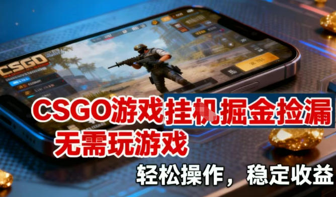 CSGO游戏挂G掘金捡漏，不需要玩游戏，操作简单，收益稳定【揭秘】-灵感工坊云网创