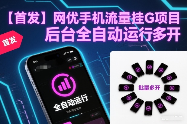 【首发】网优手机流量挂G项目，后台全自动运行，可无限批量多开【揭秘】-灵感工坊云网创