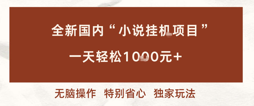全新国内小说挂G项目，多窗口无脑跑，一天轻松1k+，特别省心【揭秘】-灵感工坊云网创